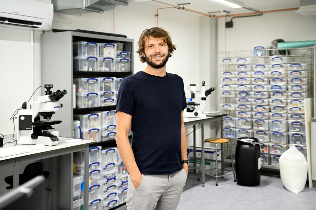 Materials Science Stories