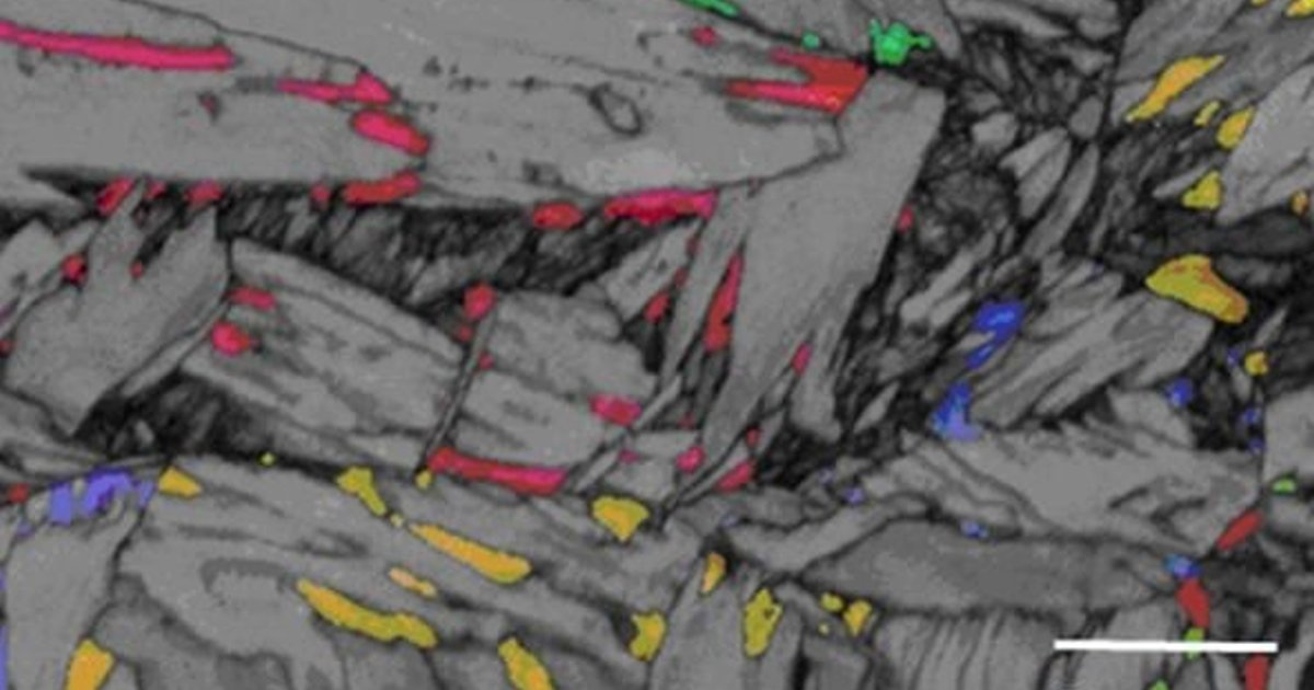 Ivory Microstructure Contact